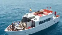 1981 Commercial Tourist boat