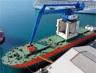 FOR SALE: 11,000 DWT Transshipment Barge 1981 Italy Built – 45 t Crane + Conveyor | CM1181